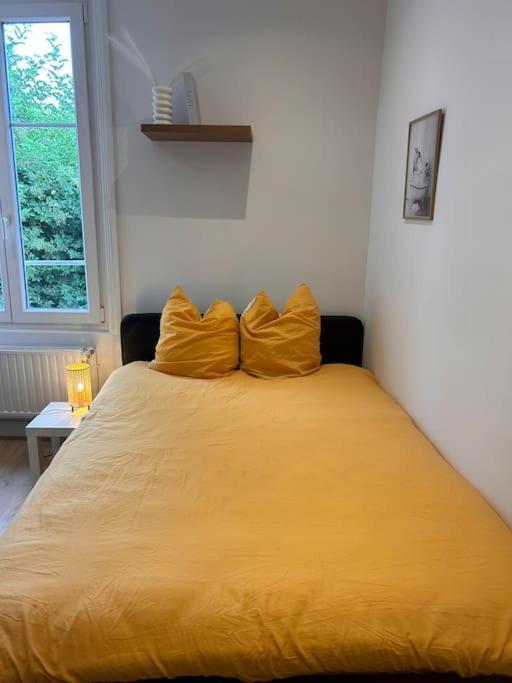 Le Nid Douillet Nanceien Apartman Nancy Kültér fotó